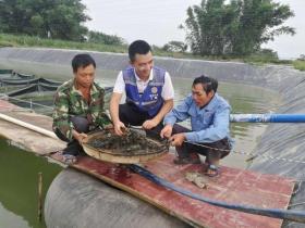 新疆男子沙漠养虾奇迹，5亩池塘产澳洲淡水虾，亩利润破万